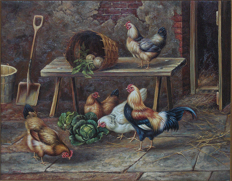 The chicken family